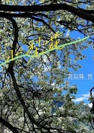 新浪华夏银行股票